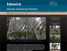 Tablet Screenshot of idawire.com